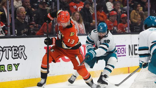 TST Best Bets: April 9, 2026. Photo by Darwin Walker - The Sporting Tribune