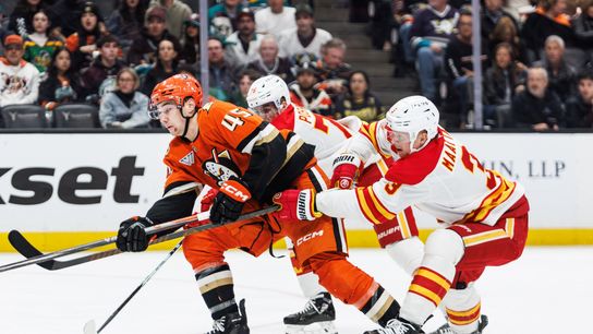 Ducks caught looking by Flames, lose fifth straight in tight playoff push taken at Honda Center (Anaheim Ducks). Photo by Jordan Carroll - The Sporting Tribune