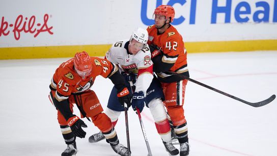 TST Images: Ducks defeat Panthers, 3-2, at Honda Center taken at Honda Center (Anaheim Ducks). Photo by Jon Bryan - The Sporting Tribune