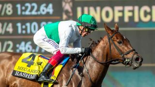 Santa Anita Saturday: Rashmi Returns in Wilshire Stakes taken at Santa Anita Park (Horse Racing). Photo by Santa Anita Park.