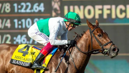 Santa Anita Saturday: Rashmi Returns in Wilshire Stakes taken at Santa Anita Park (Horse Racing)
