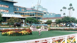 Santa Anita Saturday: Grade 3 San Luis Rey The Feature taken at Santa Anita Park (Horse Racing). Photo by Santa Anita Park