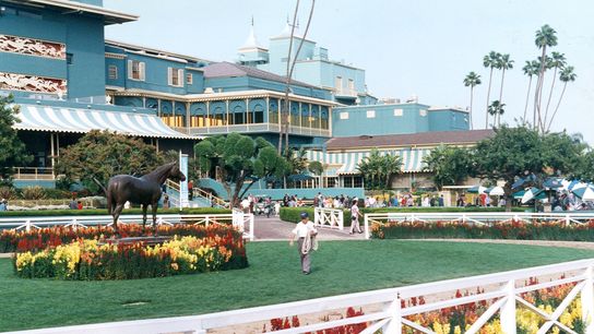 Santa Anita Saturday: Grade 3 San Luis Rey The Feature taken at Santa Anita Park (Horse Racing)