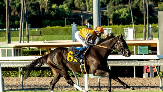 Santa Anita Saturday: Down The Hill We Go taken Arcadia, CA (Horse Racing)