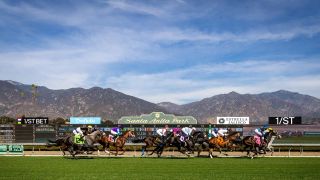 Santa Anita Saturday: Wishing Well Highlights Stacked Card taken at Santa Anita Park (Horse Racing). Photo by Santa Anita Park | Alex Evers