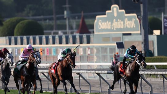 Grade 3 San Marcos Highlights Santa Anita Saturday taken at Santa Anita Park (Horse Racing)